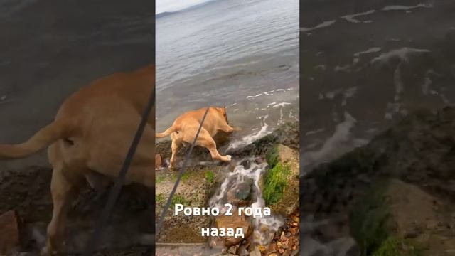 даже Боря был на море..