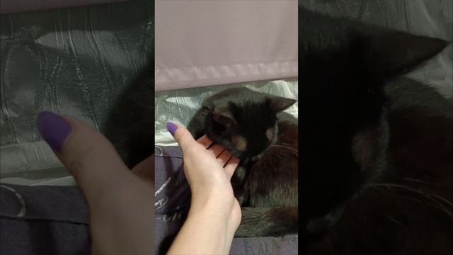 1000005088.mp4