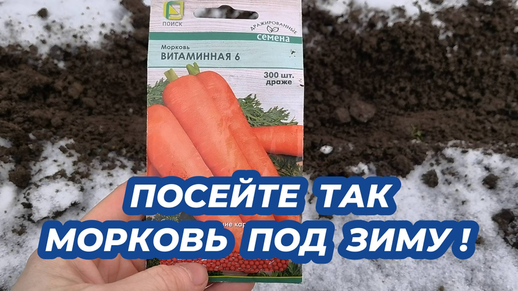 ПОСЕЙТЕ ТАК МОРКОВЬ ПОД ЗИМУ в ноябре-декабре, получите ранний урожай моркови!
