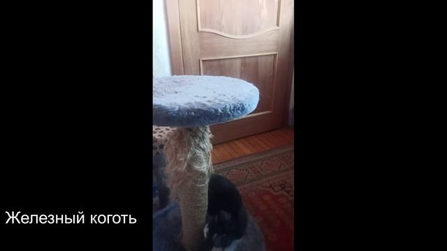 Стальной коготь