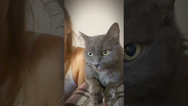 блог художника