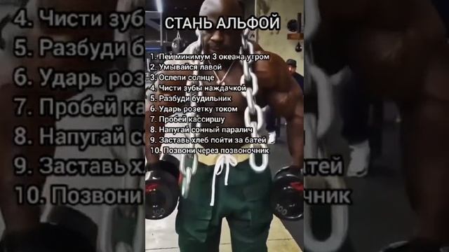 Настоящий альфа