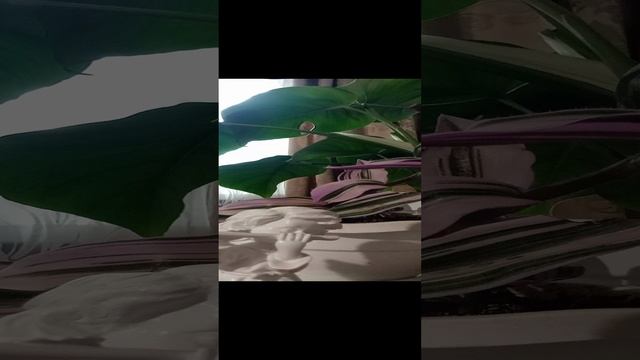 Таро.Чего боится мужчина.