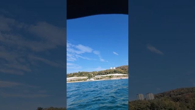 Жизнь колесница