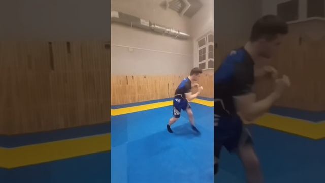 тренировка