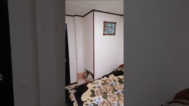 Ссылка на кв