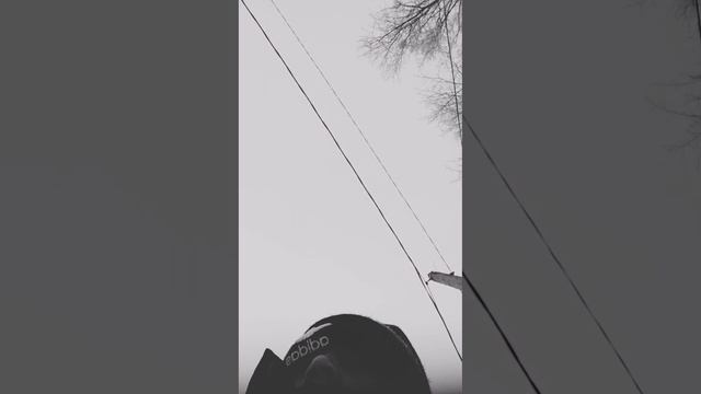 пародия на песню я солдат