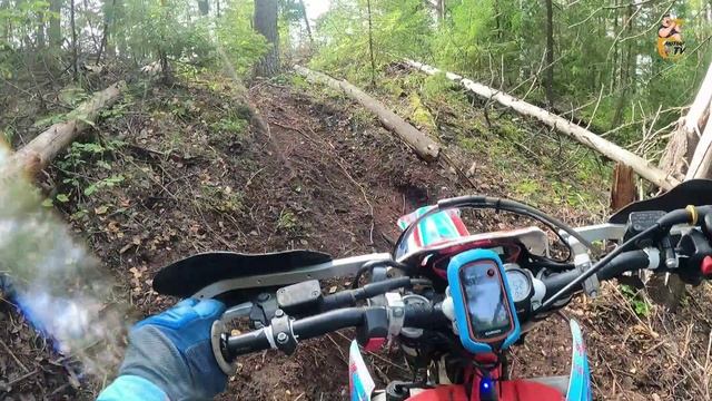 Эндуро гонка Бабьинский бурелом 07092024_Удмуртия Сюмси
