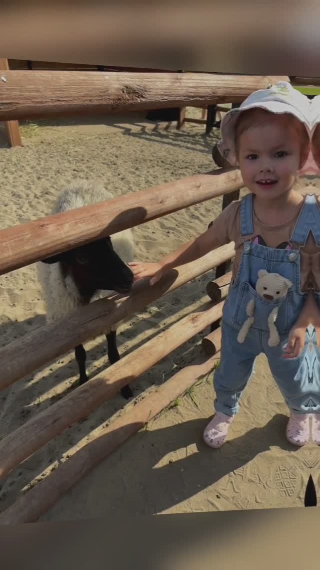 Лиса в зоопарке #family #love #зоопарк #дочка #прогулка