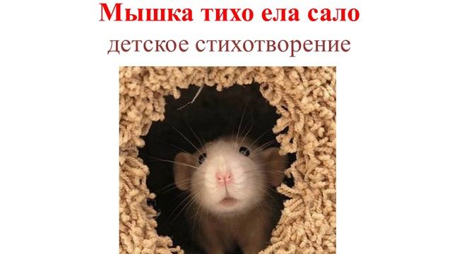 МЫШКА стихотворение для детей
