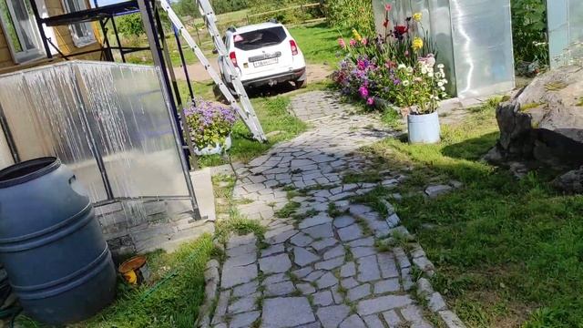 мед откачал. в зиму собрал. кормлю.