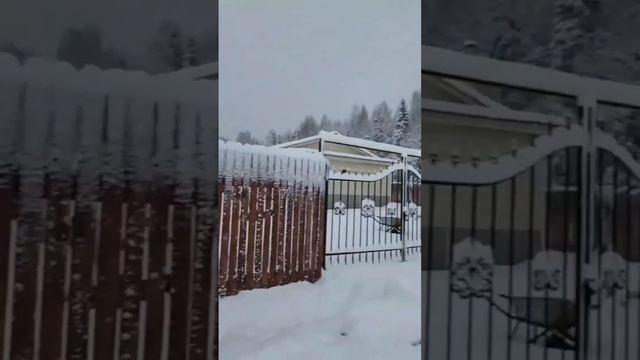 Приятный снегопад создает особенное настроение☺️