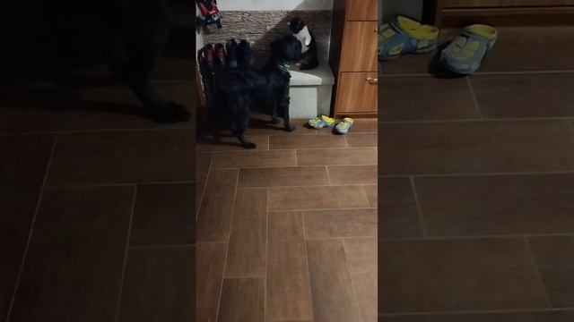 1000047111.mp4