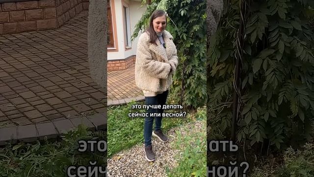 Осенью яблоням ОБЯЗАТЕЛЬНО