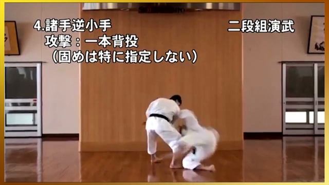2 Dan kumi-embu Shorinji Kempo. Demonstrations techniques, goho, juho. 少林寺拳法