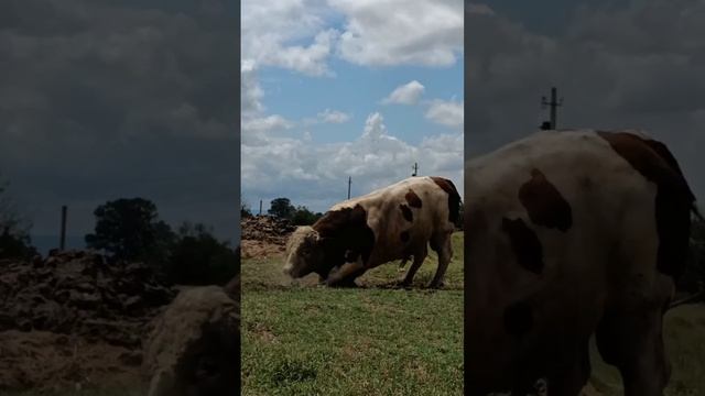 1000109359.mp4