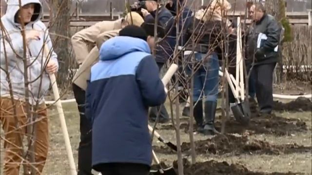 Липецкое время  Аллея Победы  2015 г.