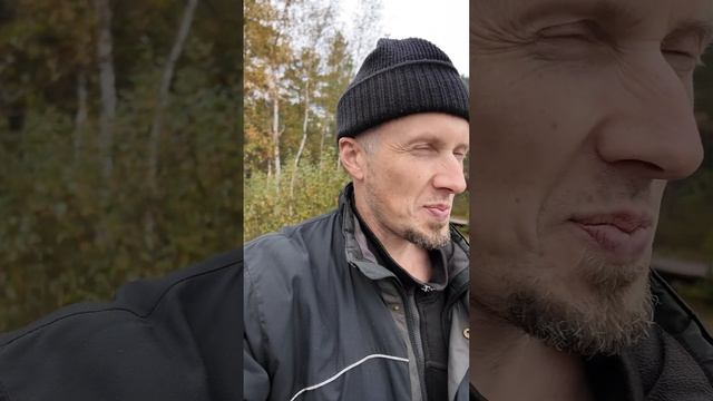 Новые мостки