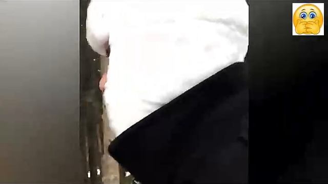 Всячинки