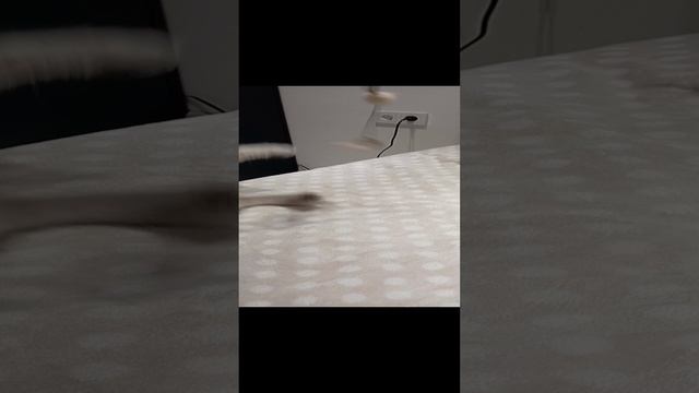 баффи