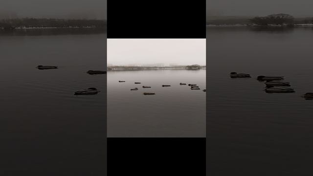 29.11.24