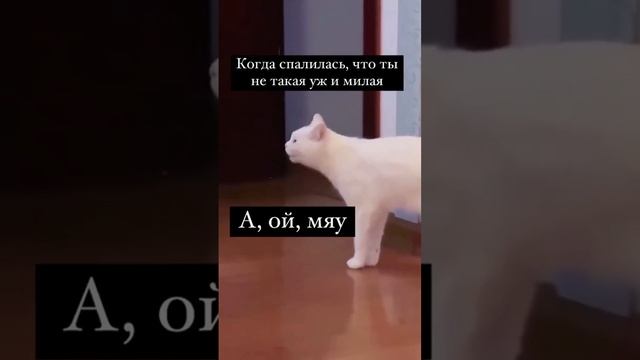 Спалилась😁