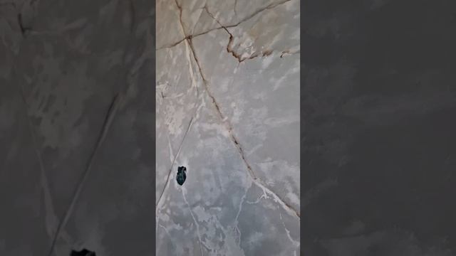 1000043657.mp4