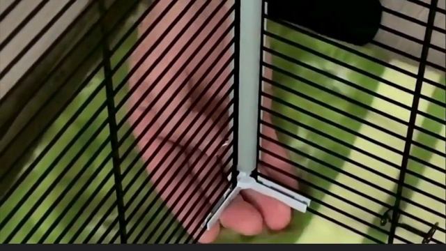 Обзор. Распаковка и сборка клетки Ferplast FURAT PLUS (80х50х70).