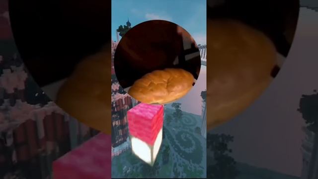 1000001525.mp4