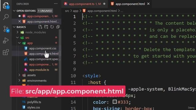 1016 External Templates and Styles
