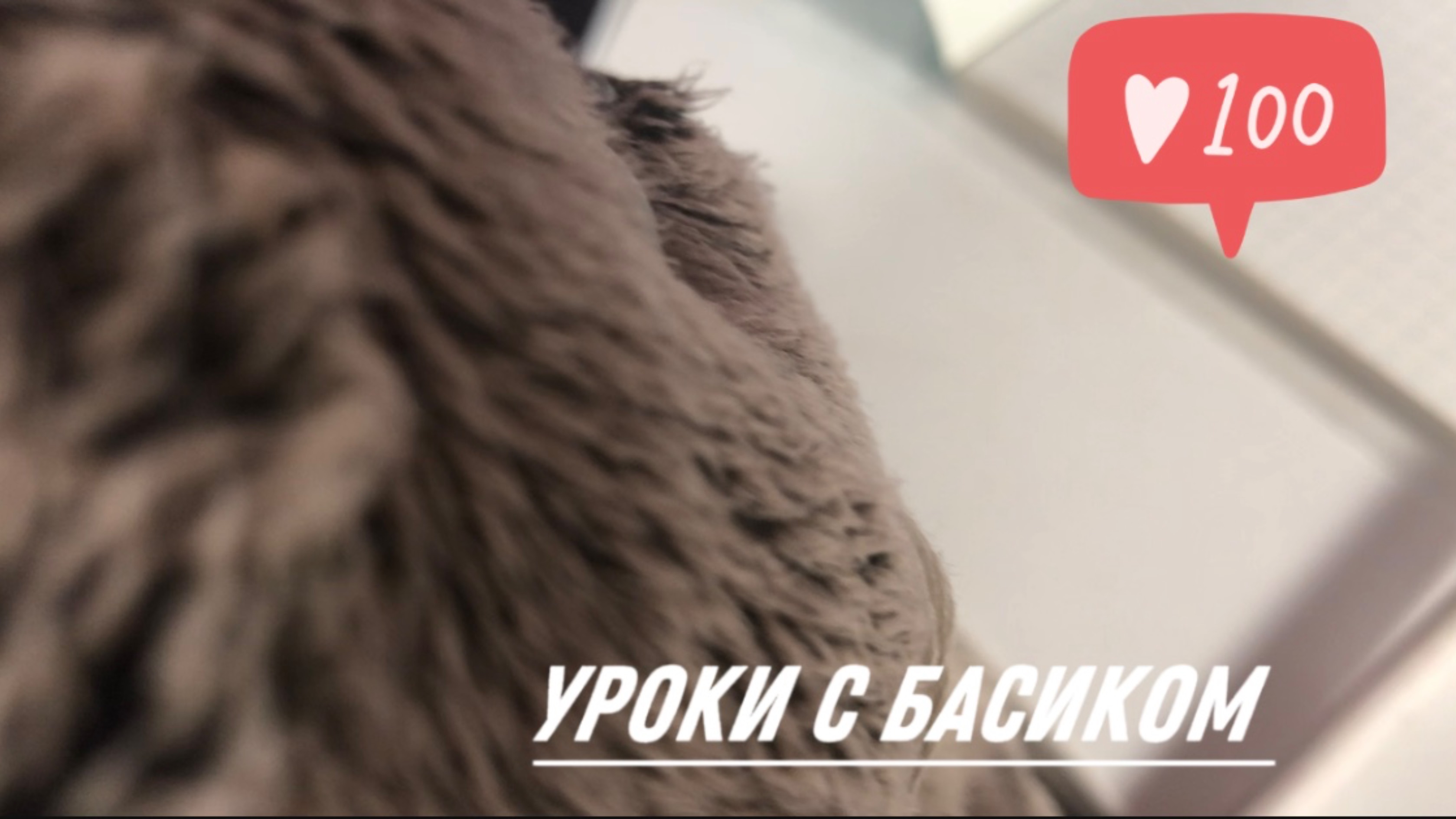 Собираемся с Басиком в школу|СБОРЫ В ШКОЛУ 🎒