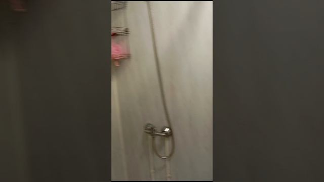 WhatsApp Video 2024-11-29 at 10.59.07
