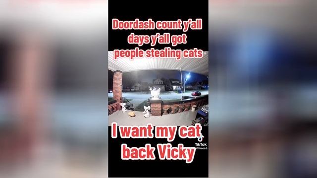Best video of Tik Tok! 29.11.24 / 01