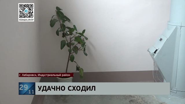 Экспресс-кража: за украденный в подъезде трюковый велосипед начинают судить прожженного уголовника