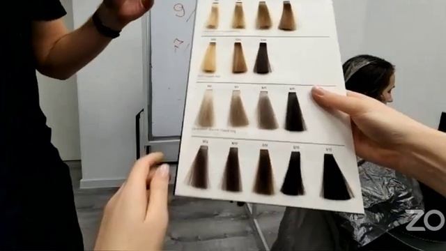 КОЛОРИСТИКА для мастера реконструкции. БЛОК 2. Тонирующий краситель. Востанавливающее окрашивание с