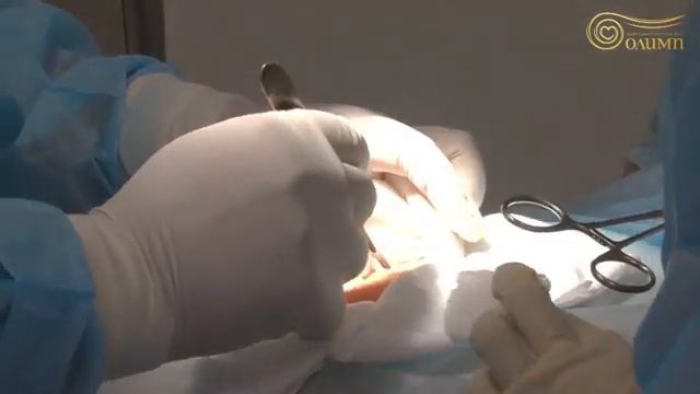 6:37 / 15:48


 МДЦ Олимп. 🏥 Качественные медицинские услуги