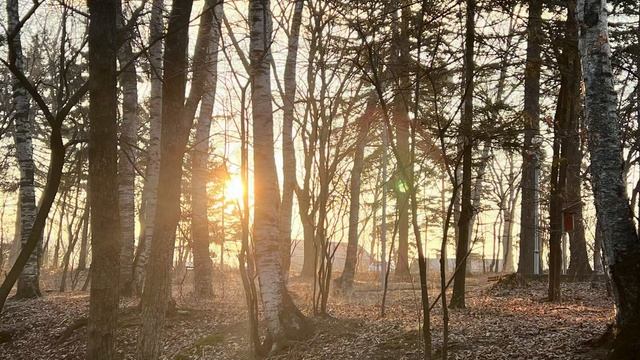 Эта лайф в кайф. Бешеный фотограф и испуганные белки