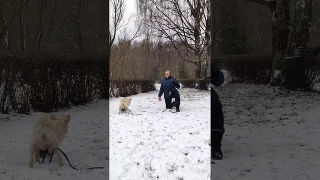 Муди Никас - учится вольту от колена