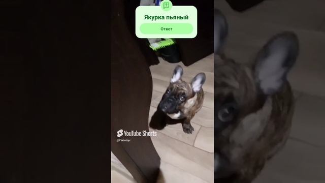видео с Ютуба