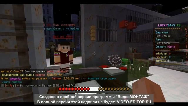 MINECRAFT SERVER Z