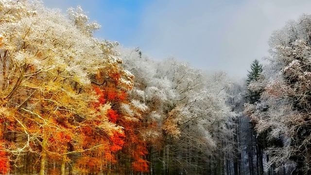 БЛАГОДАРЮ ТЕБЯ, ГОСПОДЬ ЗА ВСЕ! Альфия и Пастор Нурлан Бекмурзаевы
