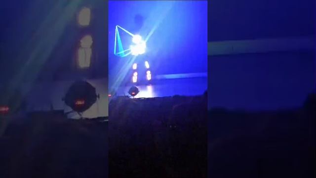 хищник в Северске но с другого угла