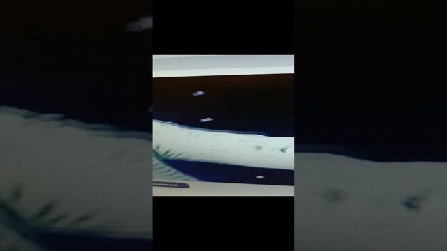 1000005474.mp4