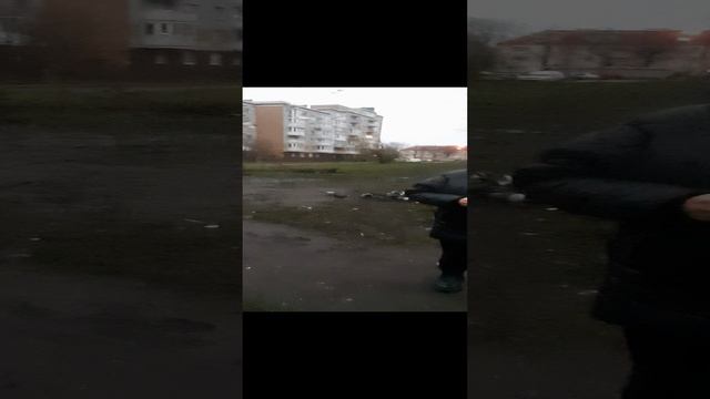 EASY ARABIC.Легко!🐪 Egyptian🐫 Египетский диалект🐫Lesson35 Bread for pigeons