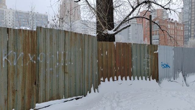 359. г. Хабаровск. Дальгипротранс - парк Дендрарий. 29.11.24.