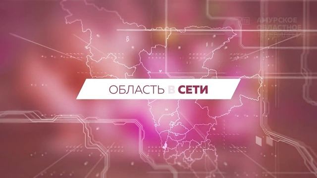 Программа "Область в сети" №281