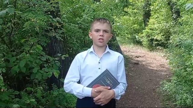 Степан Бострыкин _ Александр Пушкин Я помню чудное мгновенье