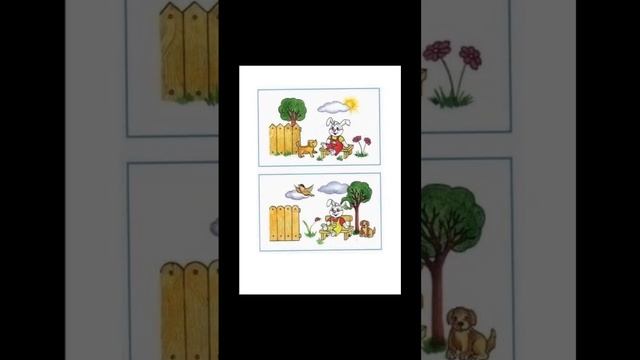 scene_output.mp4