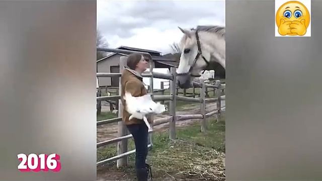 Всячинки