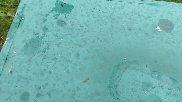 про карнику и бакфаст